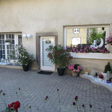 La Belle Endormie - Appartement A Fenetrange Kültér fotó
