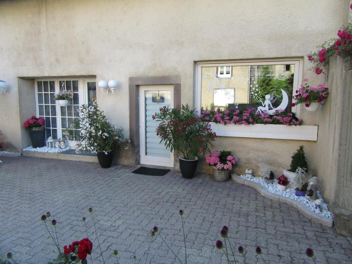 La Belle Endormie - Appartement A Fenetrange Kültér fotó