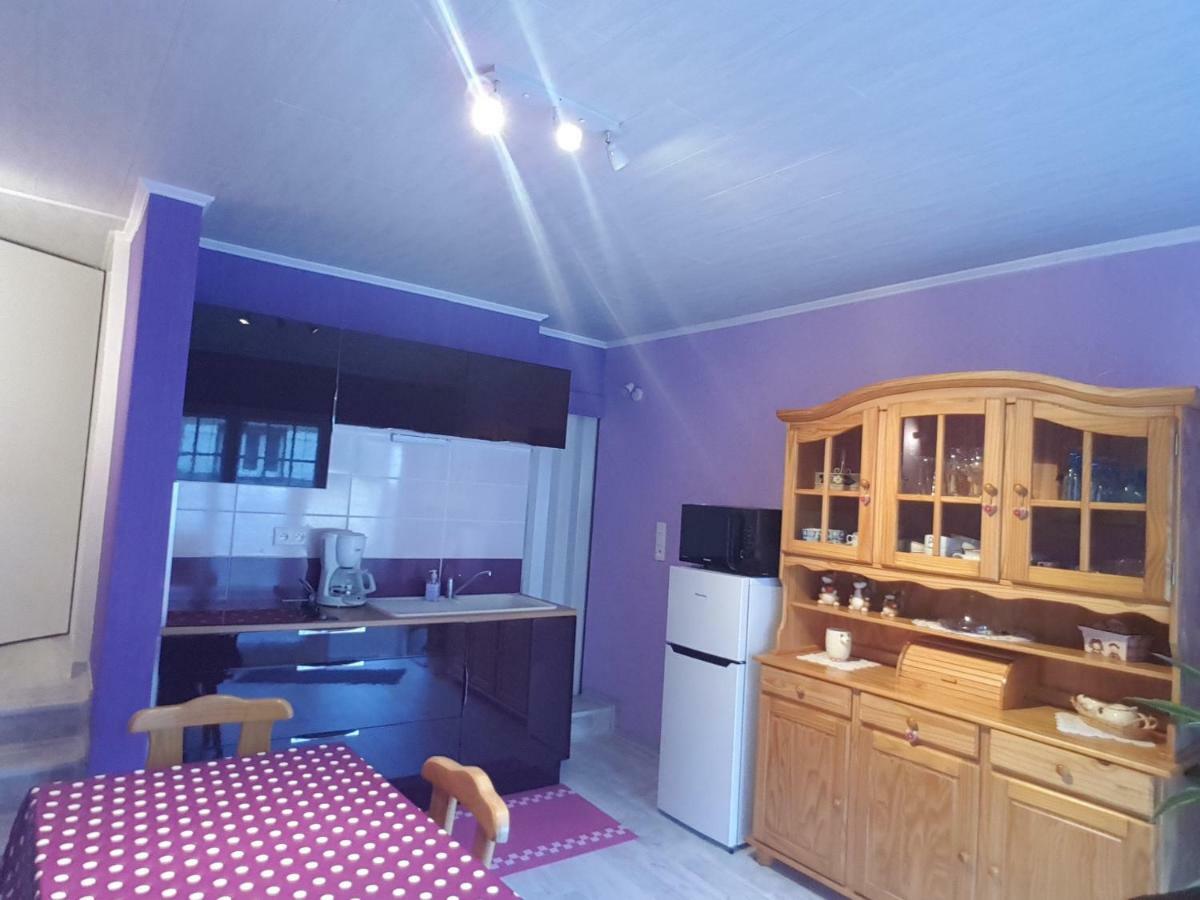 La Belle Endormie - Appartement A Fenetrange Kültér fotó